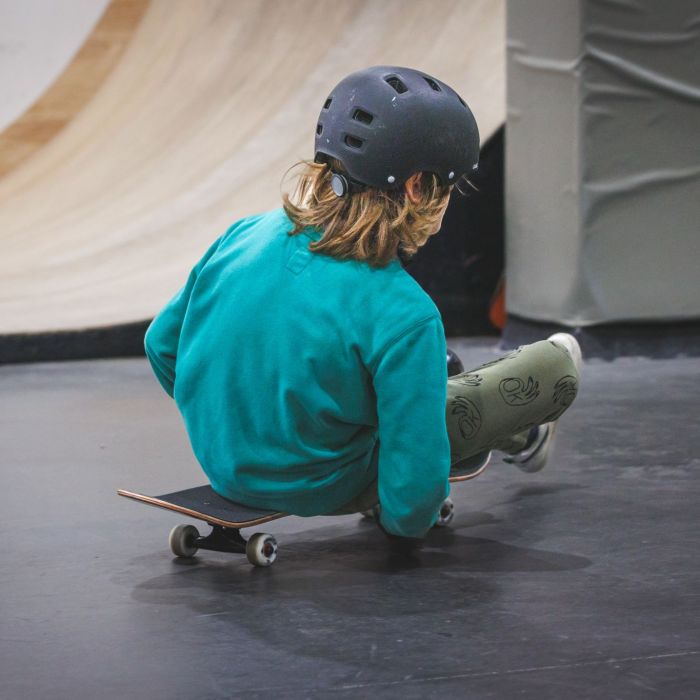 3’6 trip Skateboard